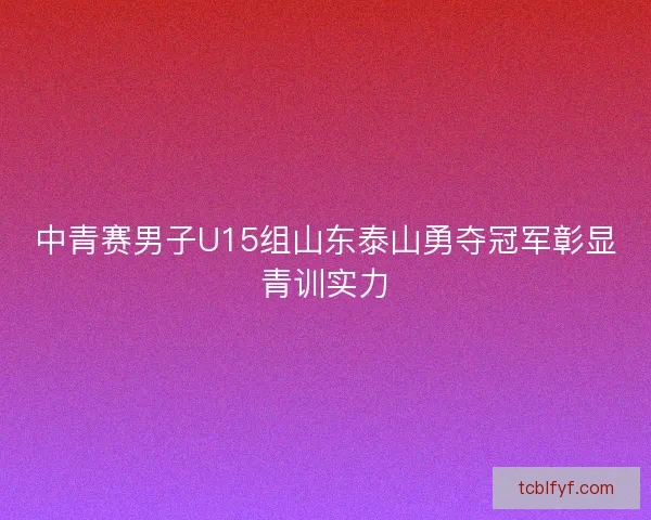 中青赛男子U15组山东泰山勇夺冠军彰显青训实力