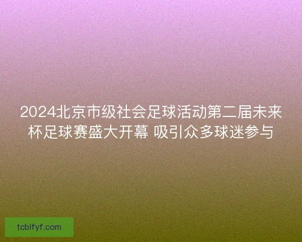 2024北京市级社会足球活动第二届未来杯足球赛盛大开幕 吸引众多球迷参与