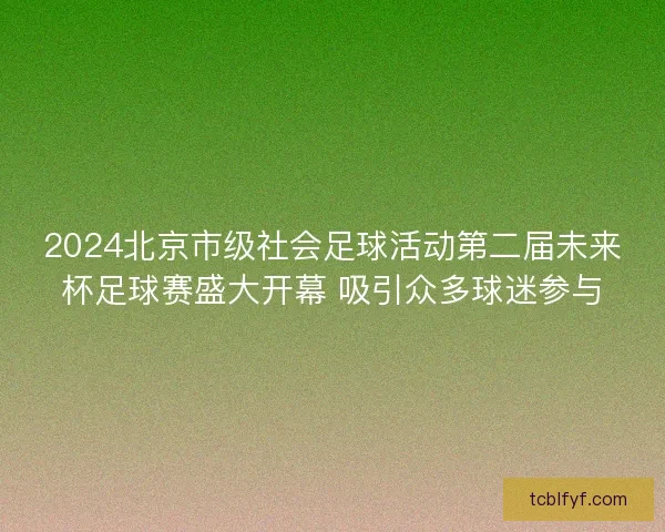 2024北京市级社会足球活动第二届未来杯足球赛盛大开幕 吸引众多球迷参与