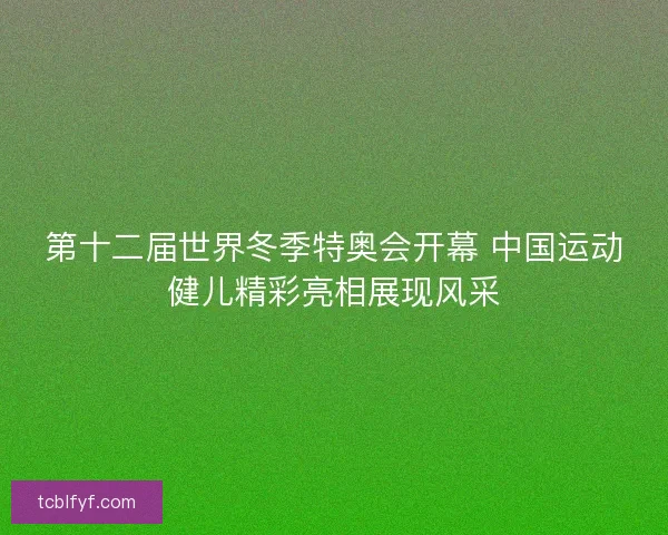 第十二届世界冬季特奥会开幕 中国运动健儿精彩亮相展现风采